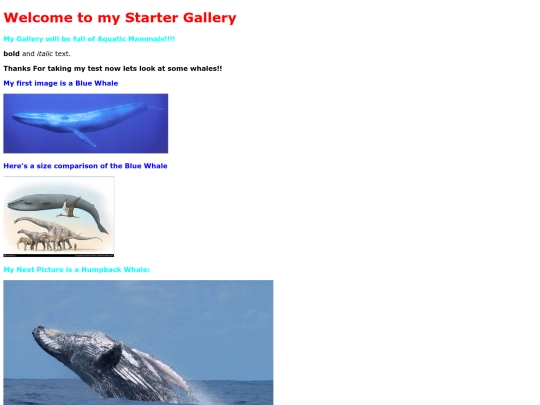 StarterGallery screenshot