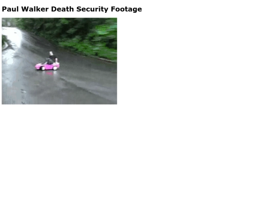 gif screenshot