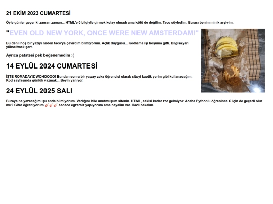 GÜNLÜK/GÜNLÜK screenshot