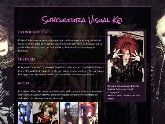visualkei screenshot