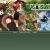 bugisland! avatar