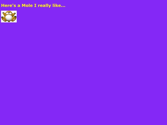 Testingpage screenshot