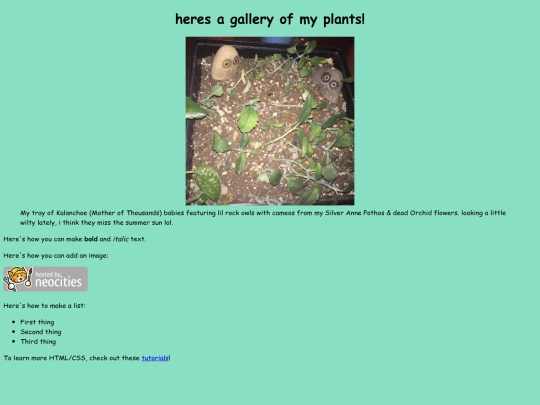 plants screenshot
