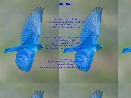 Poem screenshot