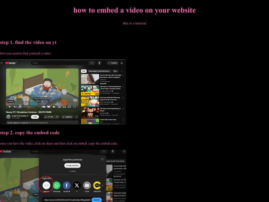 video screenshot