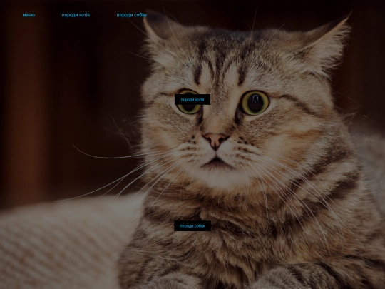попо6 шоб поп чик screenshot