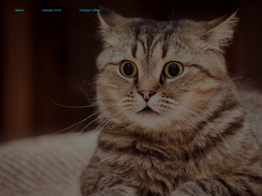 shop screenshot