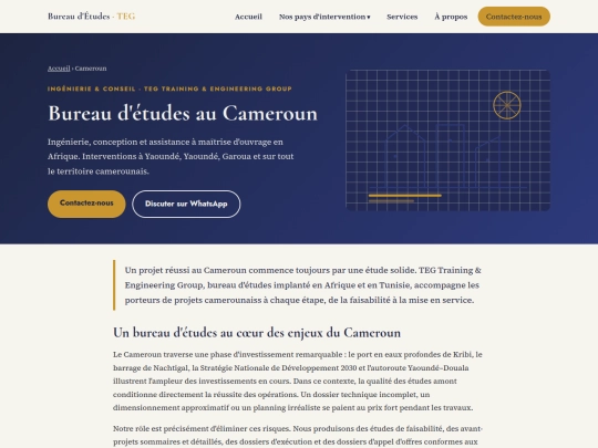 bureau-etudes-cameroun screenshot