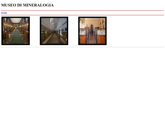 pcto/museo screenshot
