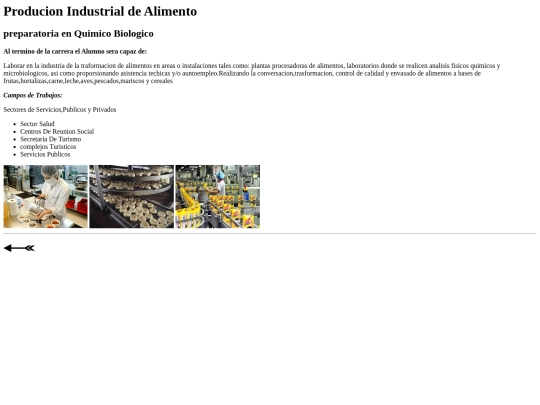 producion industrial de alimentos screenshot