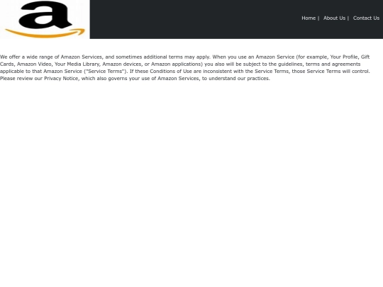 Amazon/terms screenshot