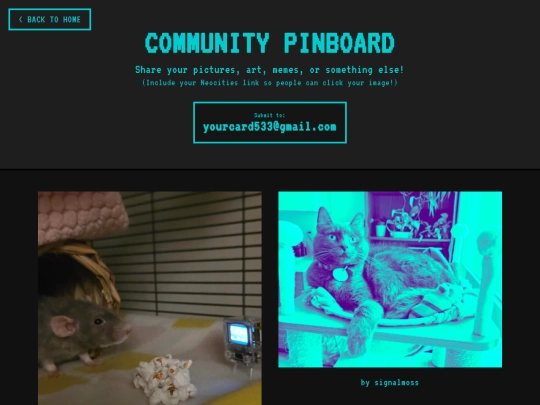 Pinwall screenshot
