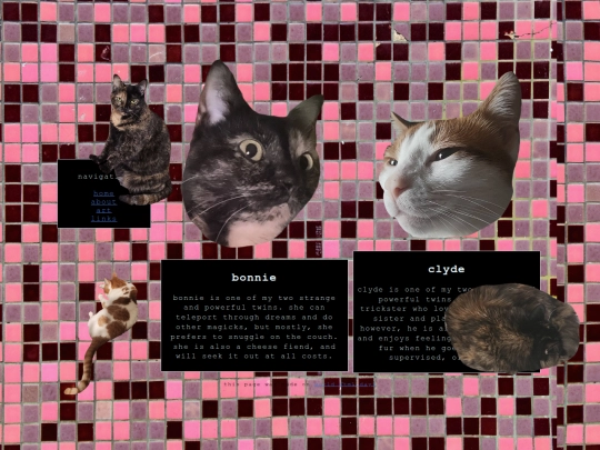 cats screenshot