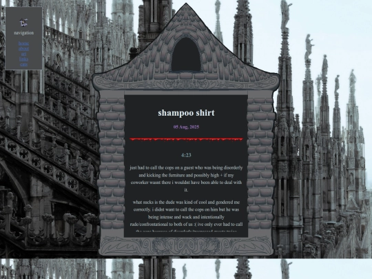 posts/2025-08-05-shampoo-shirt screenshot