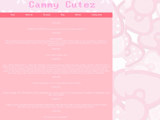 blog screenshot