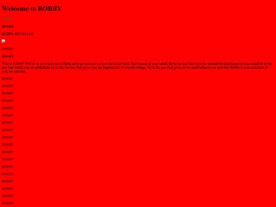 BOBBY screenshot