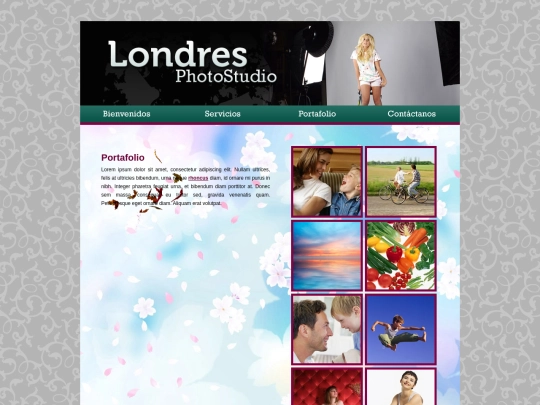 portafolio screenshot