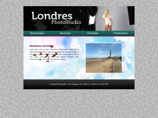 servicios screenshot