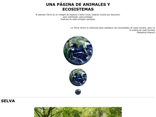 Ejerciciosimágenes/ejercicio05 screenshot