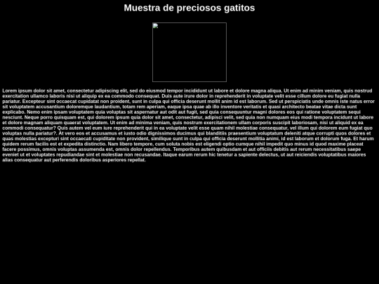 examen 13/noruego screenshot