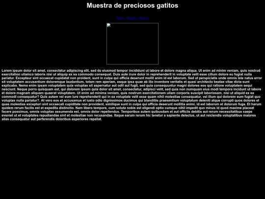 examen 13/persa screenshot