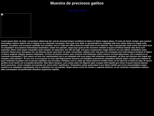examen 13/siames screenshot