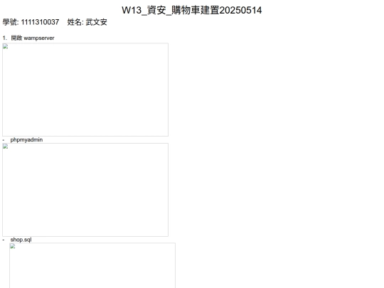 W13 screenshot