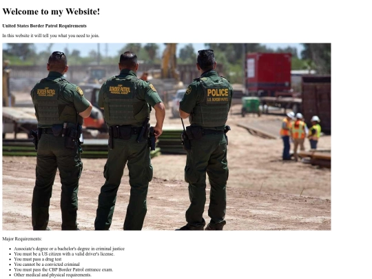 CHP screenshot