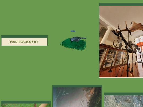 photography screenshot