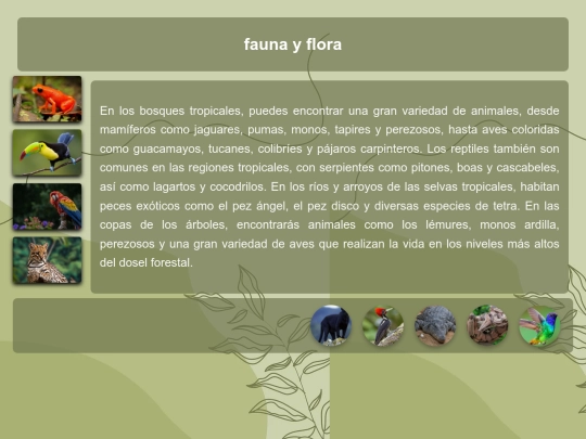 noticia screenshot