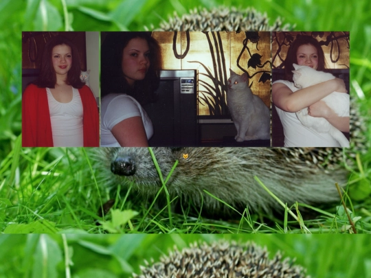 MeandKisyas screenshot