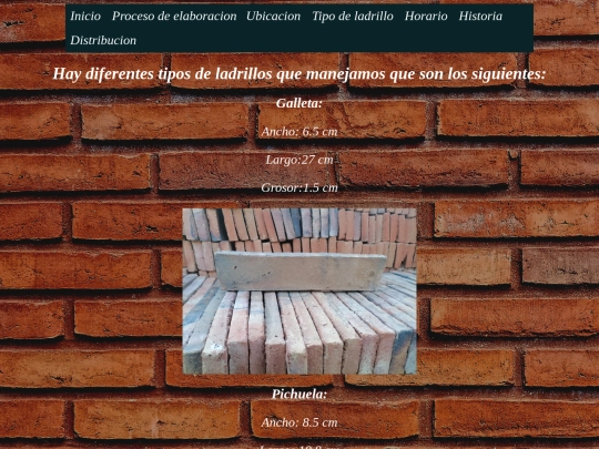 tipo de ladrillo screenshot
