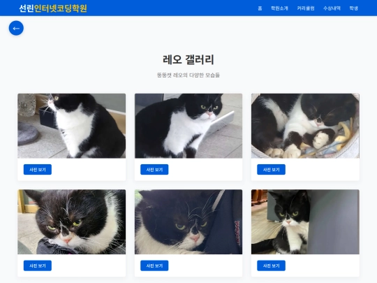 leo-gallery screenshot
