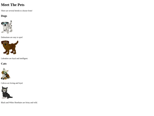 classwork 2/Pets screenshot