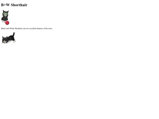 classwork 2/bw screenshot