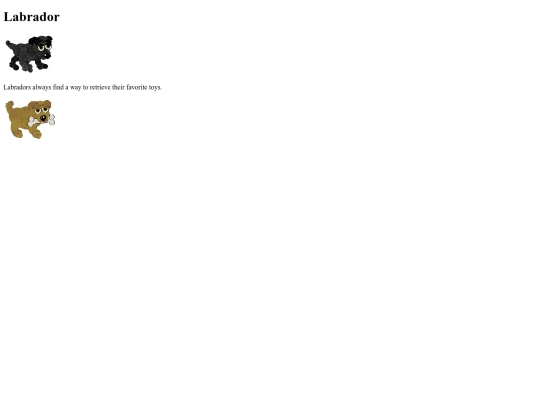 classwork 2/lab screenshot
