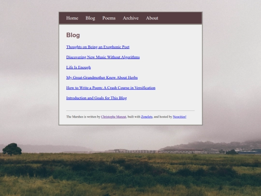 blog screenshot