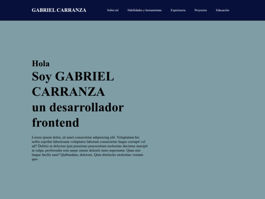 Portafolio___2 screenshot