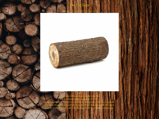 log screenshot