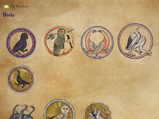 beastsacc screenshot