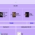 kika charts avatar