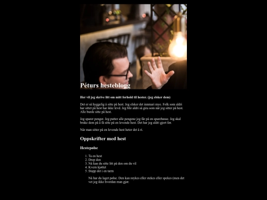 nysidetilkurset screenshot