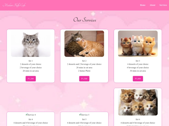 webpage finals/services screenshot