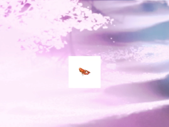 lobster screenshot