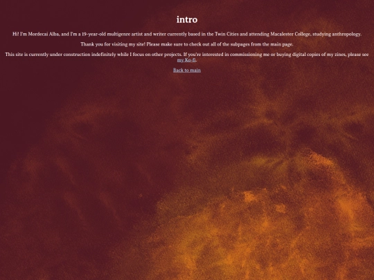 portfolio/intro screenshot