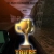  YOU'RE WINNER!  avatar