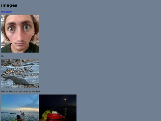 Images screenshot