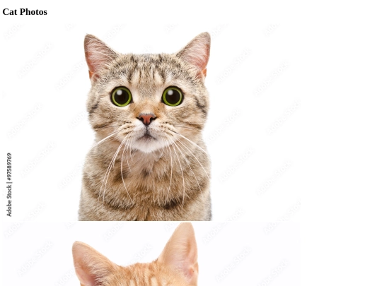 Catphotos screenshot