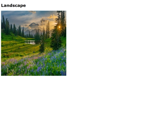 Ljwebpage screenshot