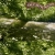  ollie's nest ฅᨐฅ  avatar